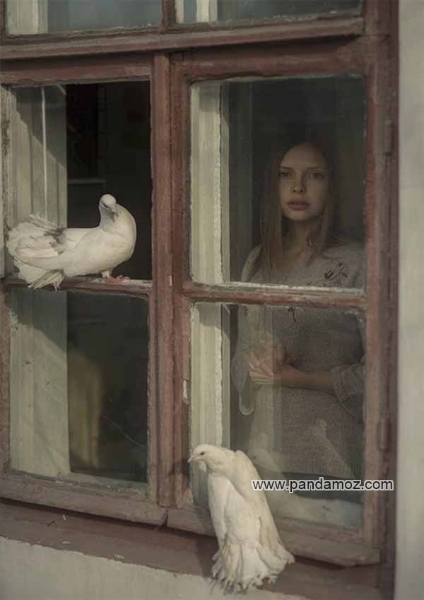 عکس دختری پشت پنجره رنگ رفته و کهنه قدیمی با رنگ قهوه ایی، از پشت شیشه پنجره دیده می شود. در تصویر دو کبوتر سفید نیز کنار و بیرون پنجره نشسته اند