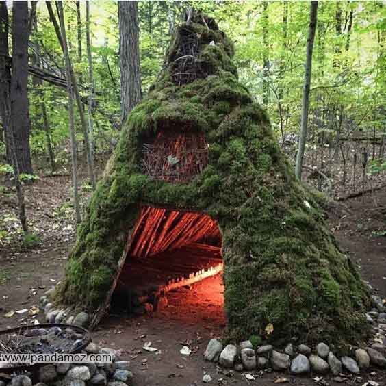 عکس یه کلبه بسیار کوچک جنگلی مخروطی شکل و کوتاه که از گیاهان و چوب های درختان درست شده و روی آن با سبزه پوشیده شده است. در تصویر روشنایی آتش در داخل کلبه دیده می شود و اطراف آن جنگل و درختان سرسبز قرار دارد