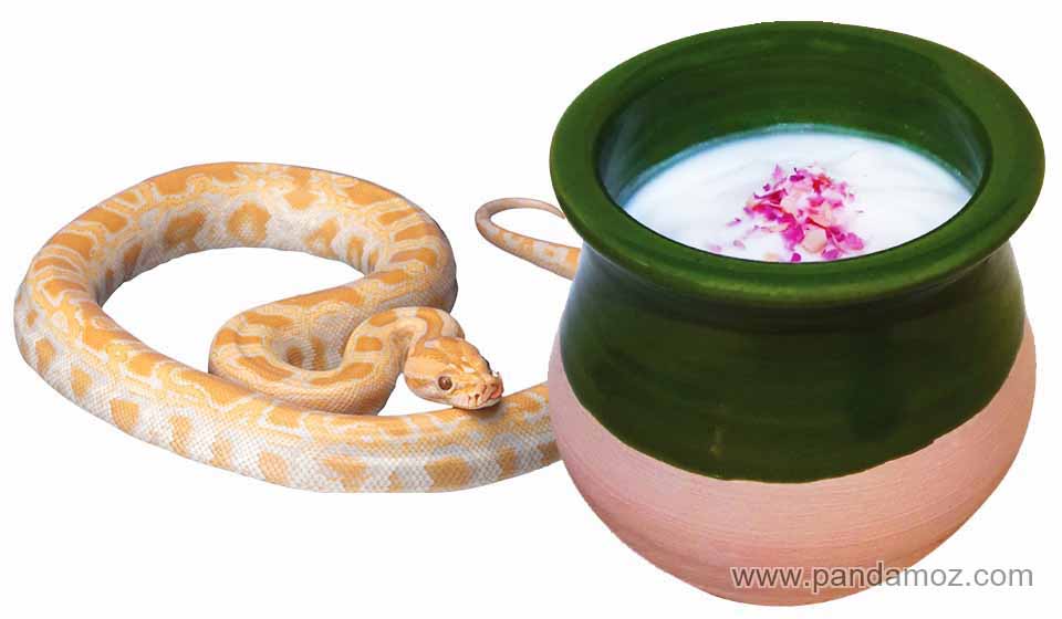 کینه مار و زهر در کوزه ماست