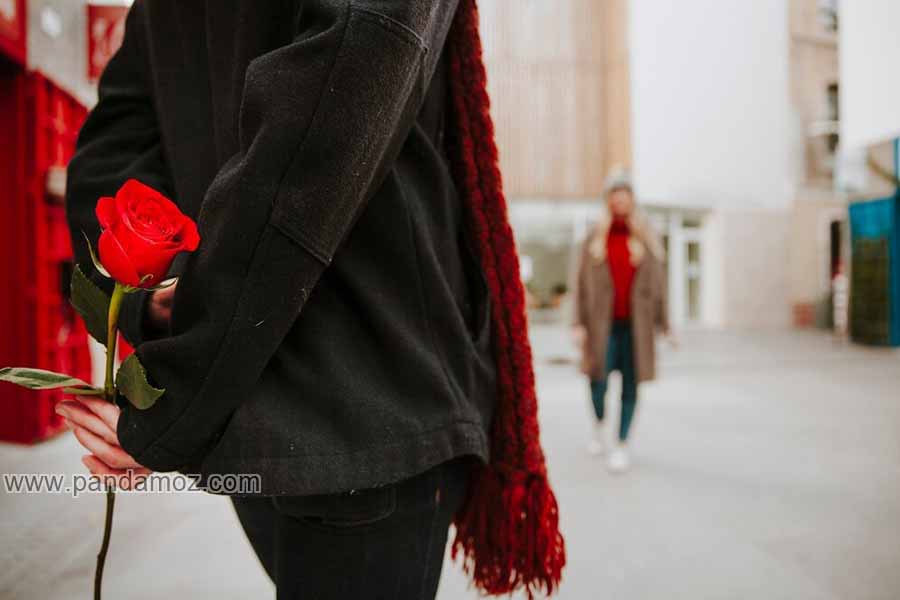 گل سرخی برای محبوبم یا دختری با یک گل سرخ
