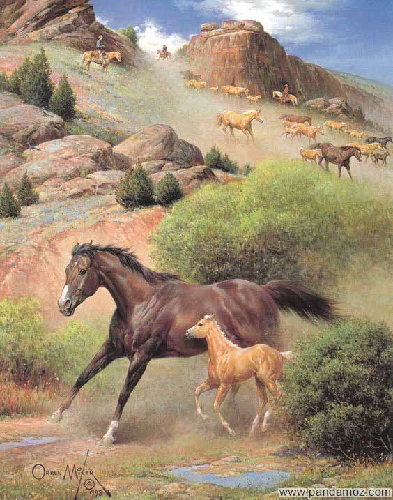 پیرمرد روستایی و اسبش و اتفاقات از روی بدشانسی یا خوش شانسی؟