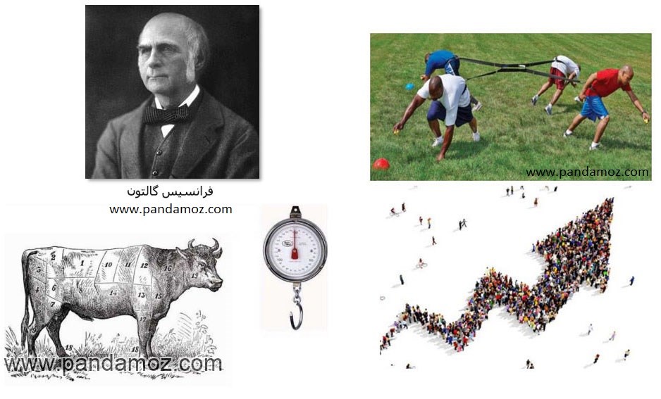 مجموعه چهار عکس شامل عکس سیاه و سفید آقای فرانسیس گالتون و عکس نقاشی از گاو نر و ترازو و عکس چهار نفر که روی زمین چمن مسابقه کشیدن طناب به جهات مختلف انجام می دهند و نیز تجمع جمعیت به شکل پیکان و در جهات مختلف که در مسیر راست قرار می گیرند خرد جمعی