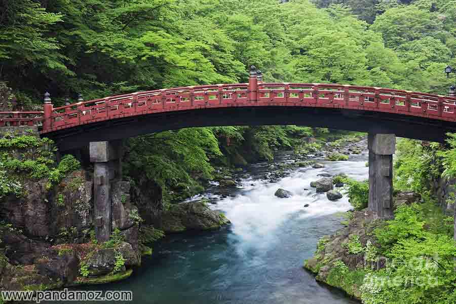 داستان کریستوفرد انتونی نویسنده