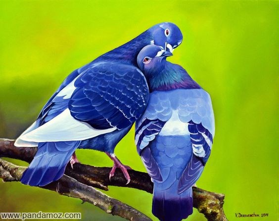 پرنده های با رنگ آبی