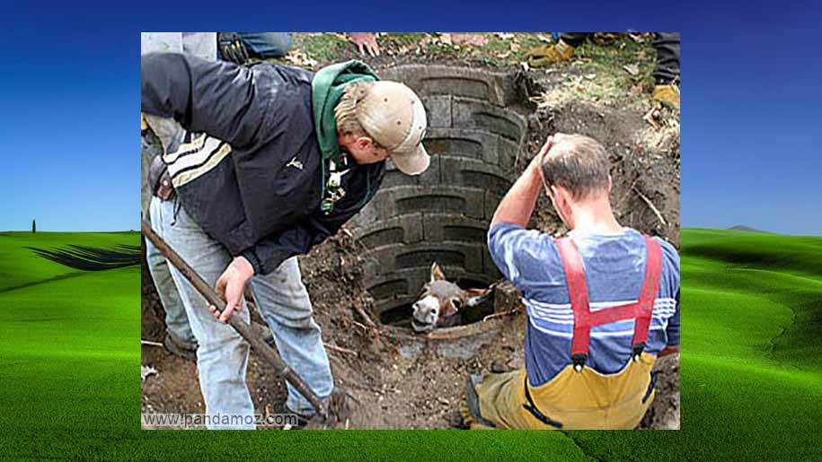 نجات الاغ از چاه