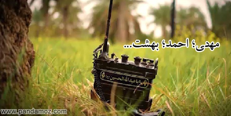 پیامبری و درختی و شهیدی