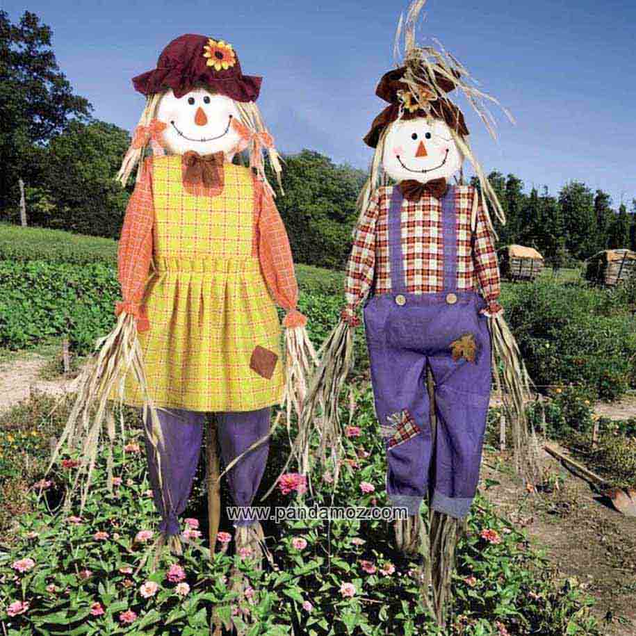 عکس دو مترسک در مزرعه که یکی لباس دخترانه پوشیده و دیگری لباس پسرانه بر تن دارد