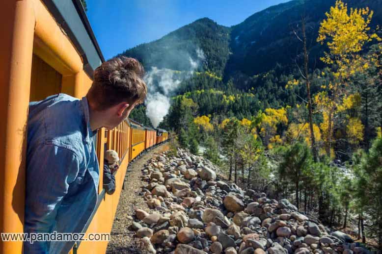 عکس قطار در کوهستان و در مسیر زیبا، قطاری زرد رنگ در حال عبور از میان درختان است و پسری که پنجره قطار را باز کرده و سر و تنه خود را بیرون آورده و نگاه می کند