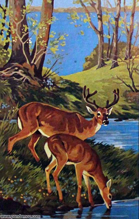 عکس تابلو نقاشی آهوان نر و ماده در حال آب خوردن در کنار رودخانه و در یک جنگل زیبا. در تصویر یکی از گوزنها شاخ زیبایی دارد