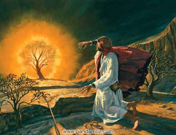 عکس نقاشی نمادین معرف حضرت موسی (ع) جلوه ایی از انوار خدایی بر درخت و سوزاندن درخت