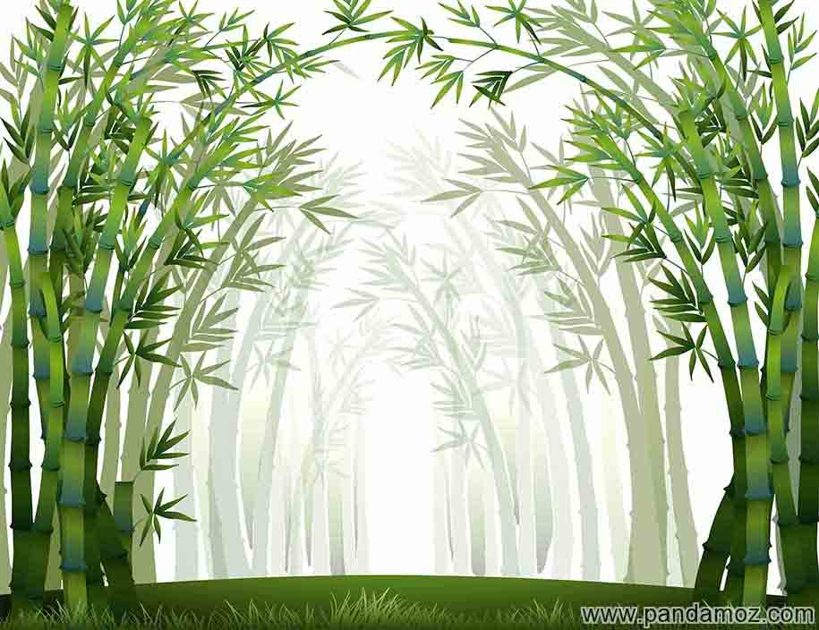 تا اوج نا امیدی : داستان درخت سرخس و درخت بامبو