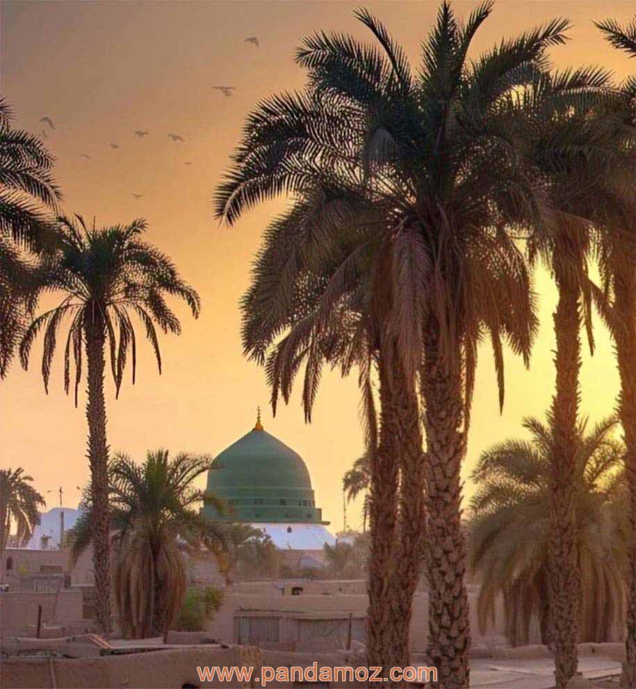 عکس قدیمی از آرامگاه و مسجد پیامبر اسلام(ص) با گنبد خضرا یا گنبد سبز به همراه درختهای نخل و خرما. در تصویر خانه های گلی قدیمی هم دیده می شود
