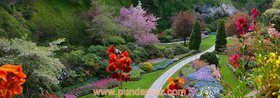 عکس باغ های بوچارت در ونکوور کشور کانادا. این باغها از زیباترین باغهای جهان هستند که در تصویر درختان سرسبز و گلهای زیبا و دورنمای باغ ها دیده می شود